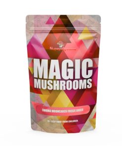 Enigma Mooncakes Freeze Dried Magic Mushroom 3.5G