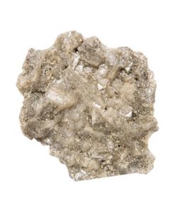 Pure Champagne Molly
