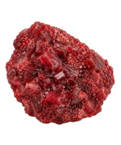 Pure Red Molly