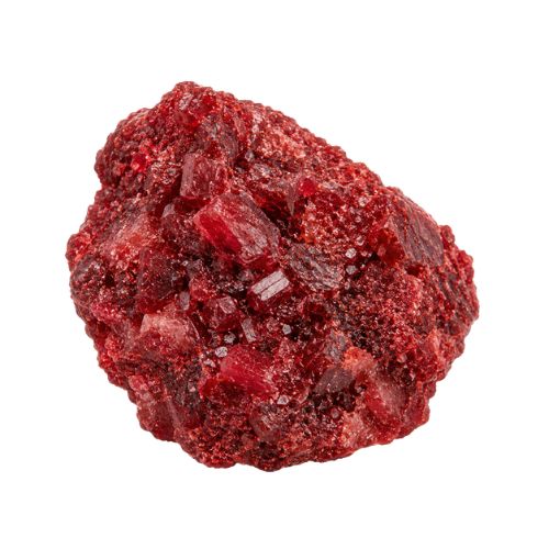 Pure Red Molly