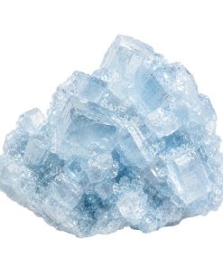 Pure Tesla Blue Molly