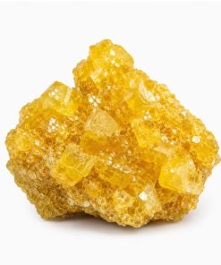 Pure Yellow Molly